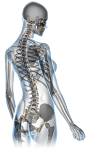 Genetic studies confirm two distinct sub-types of rheumatoid arthritis