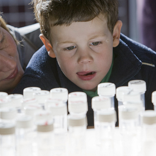 Funding call: public engagement and outreach projects in biomedical research and health