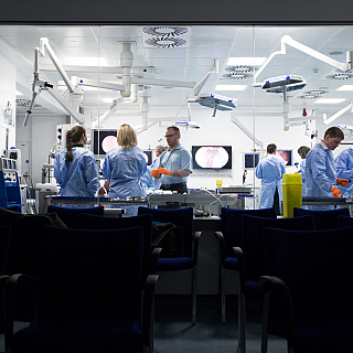 Research boost for Division of Surgery