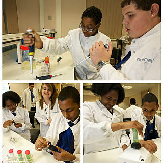 More than 10,500 students use their DNA to analyse evolution of taste gene