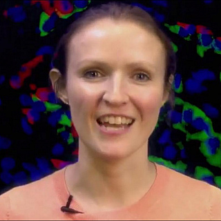 A career in academic medicine – it is for me?