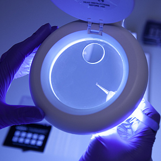 What research are we doing into Inflammatory Bowel Disease?