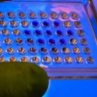 How Manchester is leading the world in a new era of genomics