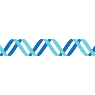 Children at Saint Mary’s Hospital are first in the world to take part in genomic study