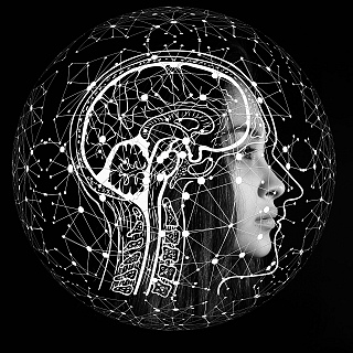 Manchester researchers discover new genetic brain disease