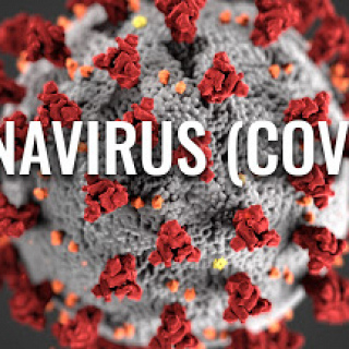 Changes to the way we conduct research due to COVID-19
