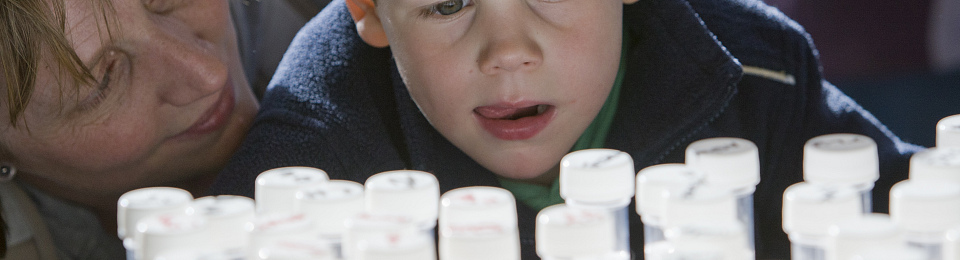 Funding call: public engagement and outreach projects in biomedical research and health