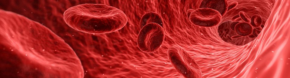 Advancing gene therapy: a cure for haemophilia?