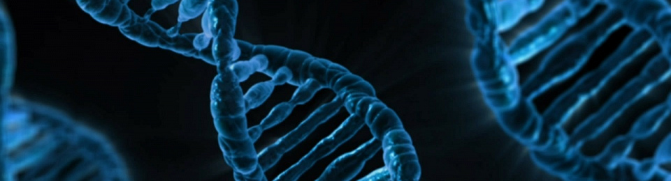 Gene discovery could help prevent liver disease deaths