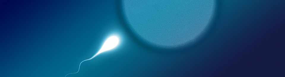 Sperm donation to strangers after death should be allowed in the UK, doctors argue