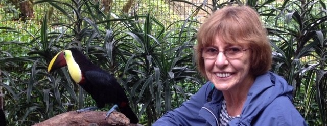 ‘This research may help people like me to continue to live independently’ – what being part of research means to Jean