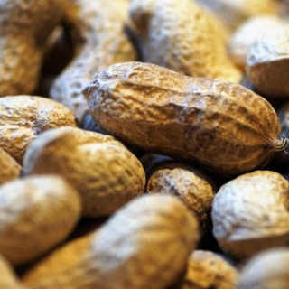 First patient in Europe recruited in a peanut allergy trial for children under four years old
