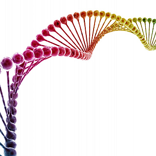 Whole genome sequencing improves rare disease diagnosis, according to world-first study