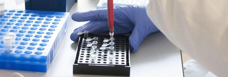 Cells in complex environments forum: the tumour environment